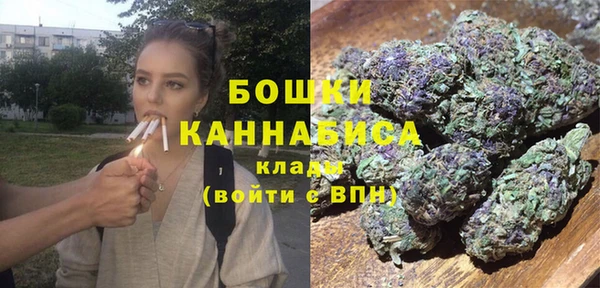 трава Бронницы