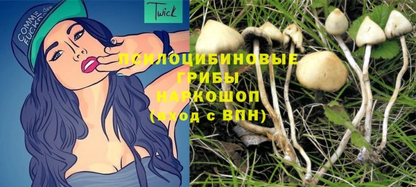 гидра Бугульма