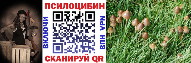 blacksprut ссылки  Нолинск  Псилоцибиновые грибы GOLDEN TEACHER 